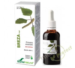 Breza – prirodni ekstrakt 50 ml