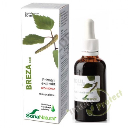 Breza – prirodni ekstrakt 50 ml