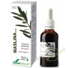 Maslina – prirodni ekstrakt 50 ml