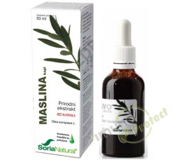 Maslina – prirodni ekstrakt 50 ml