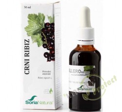 Crni ribiz – prirodni ekstrakt 50 ml