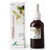Češnjak – prirodni kompleks 50 ml